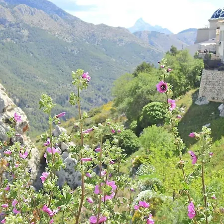 Casa Ronnie Сasa de vacaciones